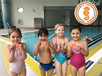 alternative Erklärung