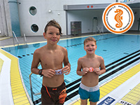 alternative Erklärung