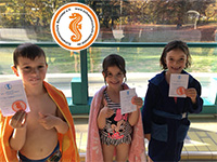 alternative Erklärung