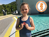 alternative Erklärung