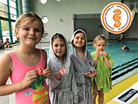 alternative Erklärung