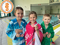 alternative Erklärung