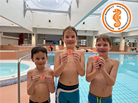 alternative Erklärung