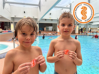 alternative Erklärung