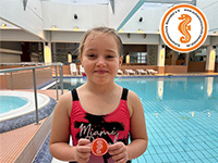 alternative Erklärung