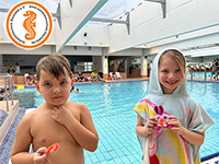 alternative Erklärung