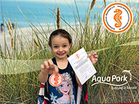 alternative Erklärung