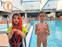 alternative Erklärung