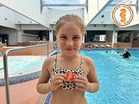 alternative Erklärung