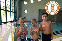 alternative Erklärung