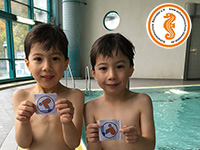 alternative Erklärung