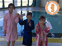 alternative Erklärung